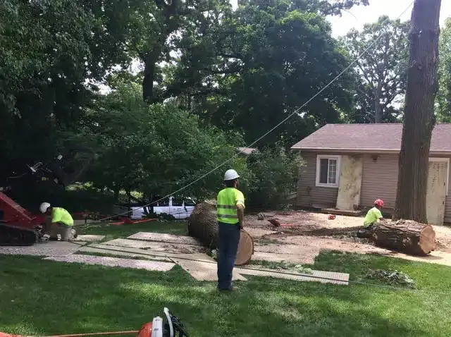 Three workers in high-visibility vests and hard hats remove a large tree near a house, with logs on the grass.