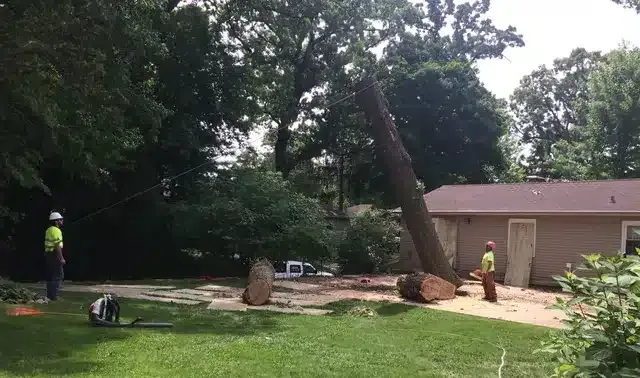 Two workers in high-visibility gear stand near a large tree being removed next to a residential house.