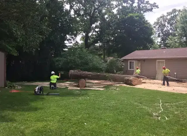 Three workers in high-visibility vests work on a large tree trunk lying on the ground in a residential backyard.