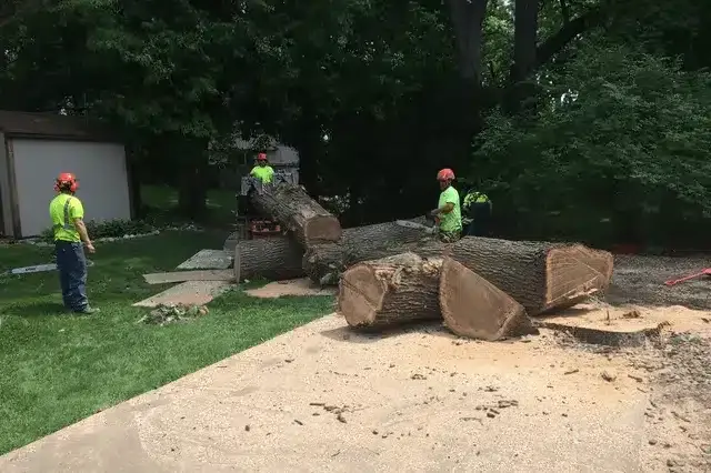 Workers in high-visibility gear removing large sections of a felled tree from a residential lawn.