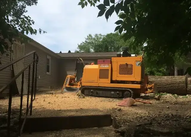 A yellow stump grinder sits on a residential lawn, grinding a tree stump near a house.