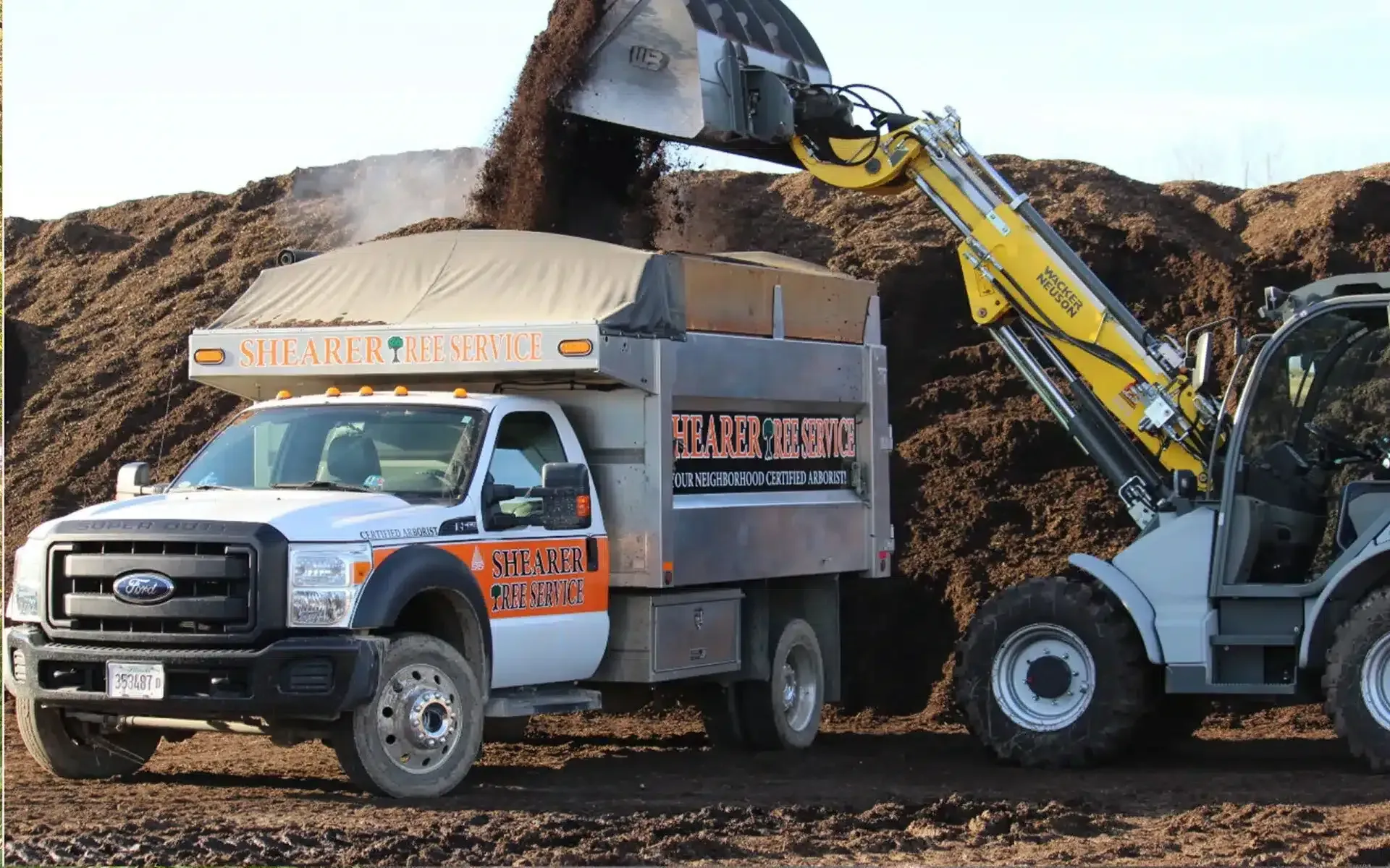 A yellow front-end loader dumping dark mulch into a white Ford dump truck at an outdoor worksite.