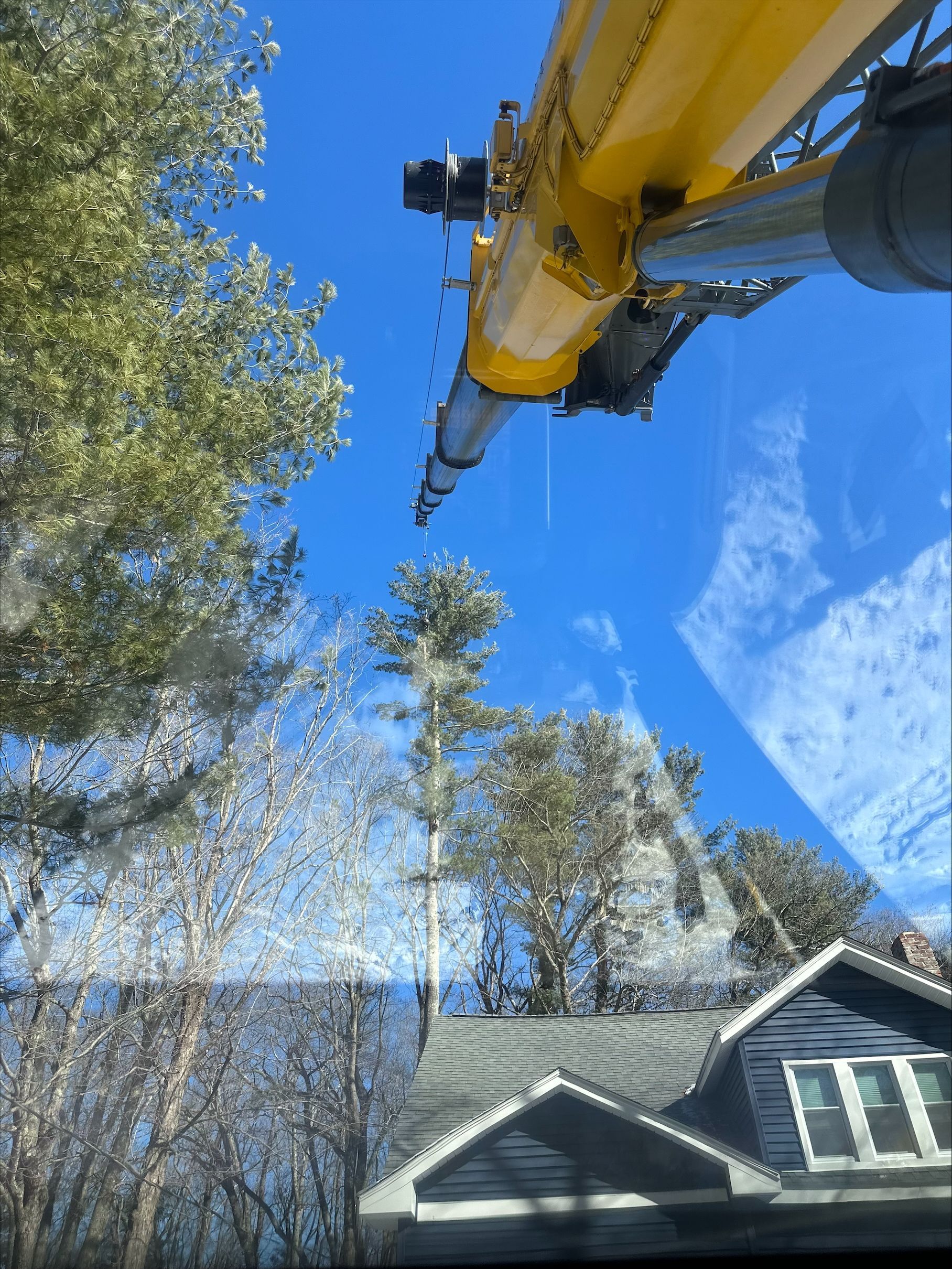 A yellow crane is lifting a tree in front of a house