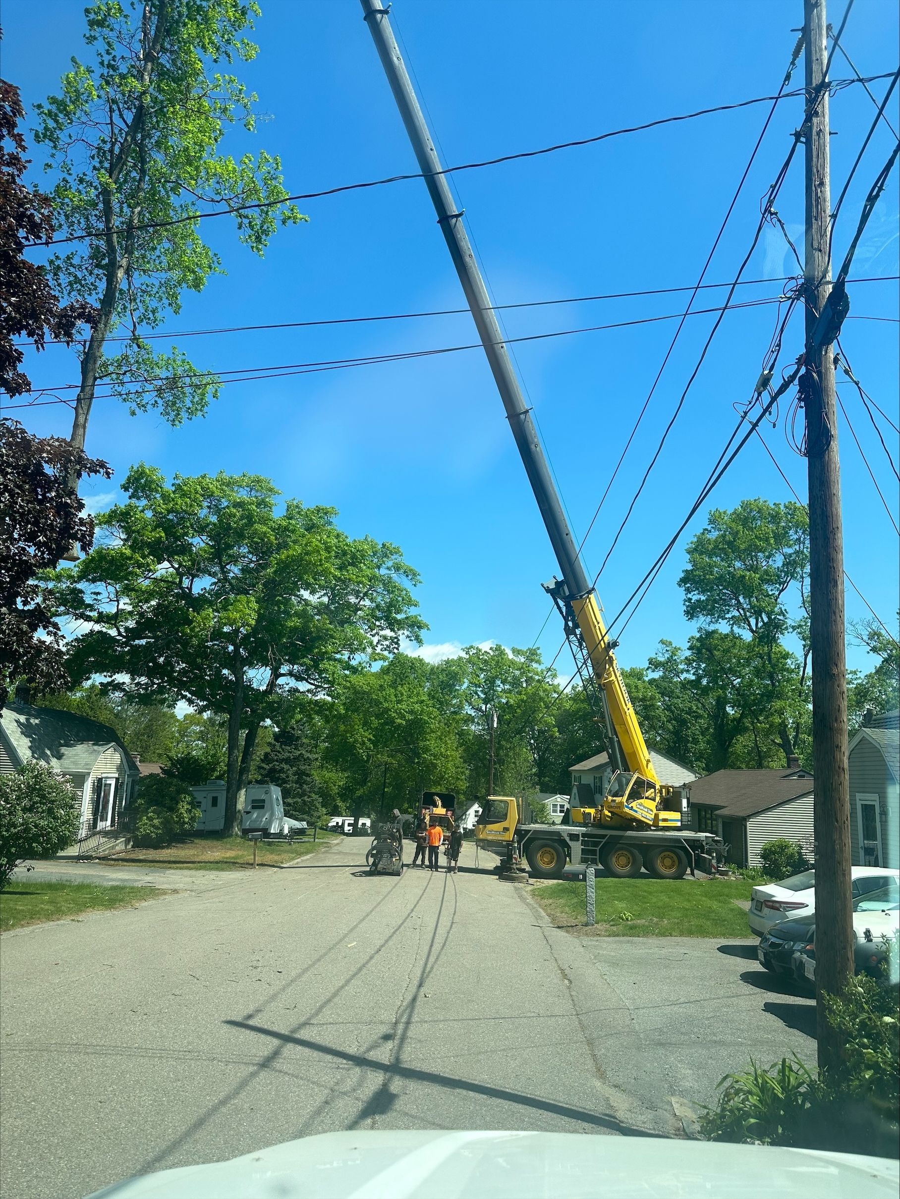 A yellow crane is lifting a tree down a street