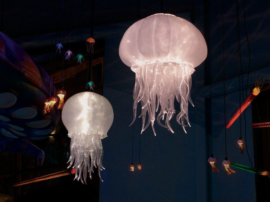 jellyfish