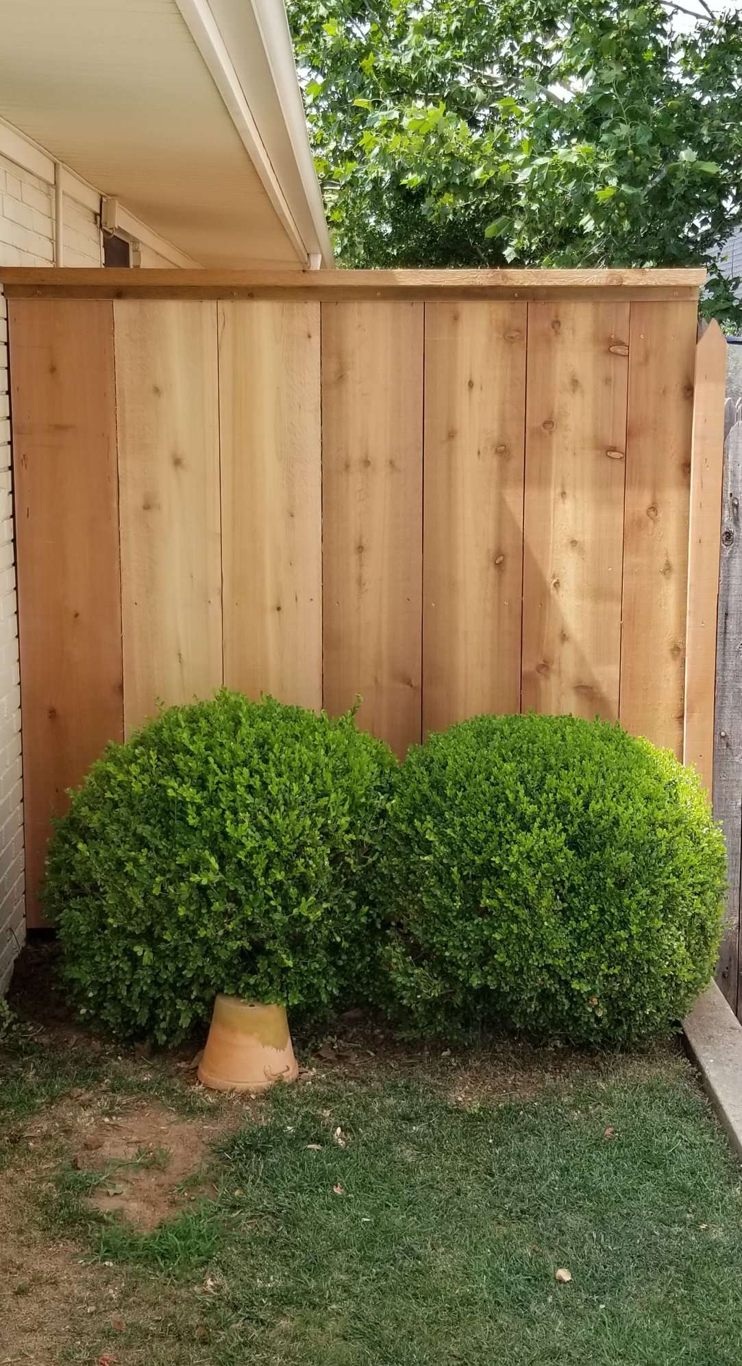 Wood fence project