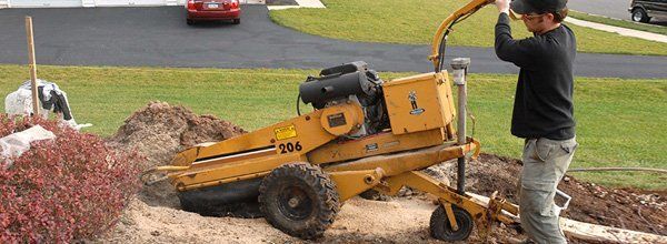 Stump grinding
