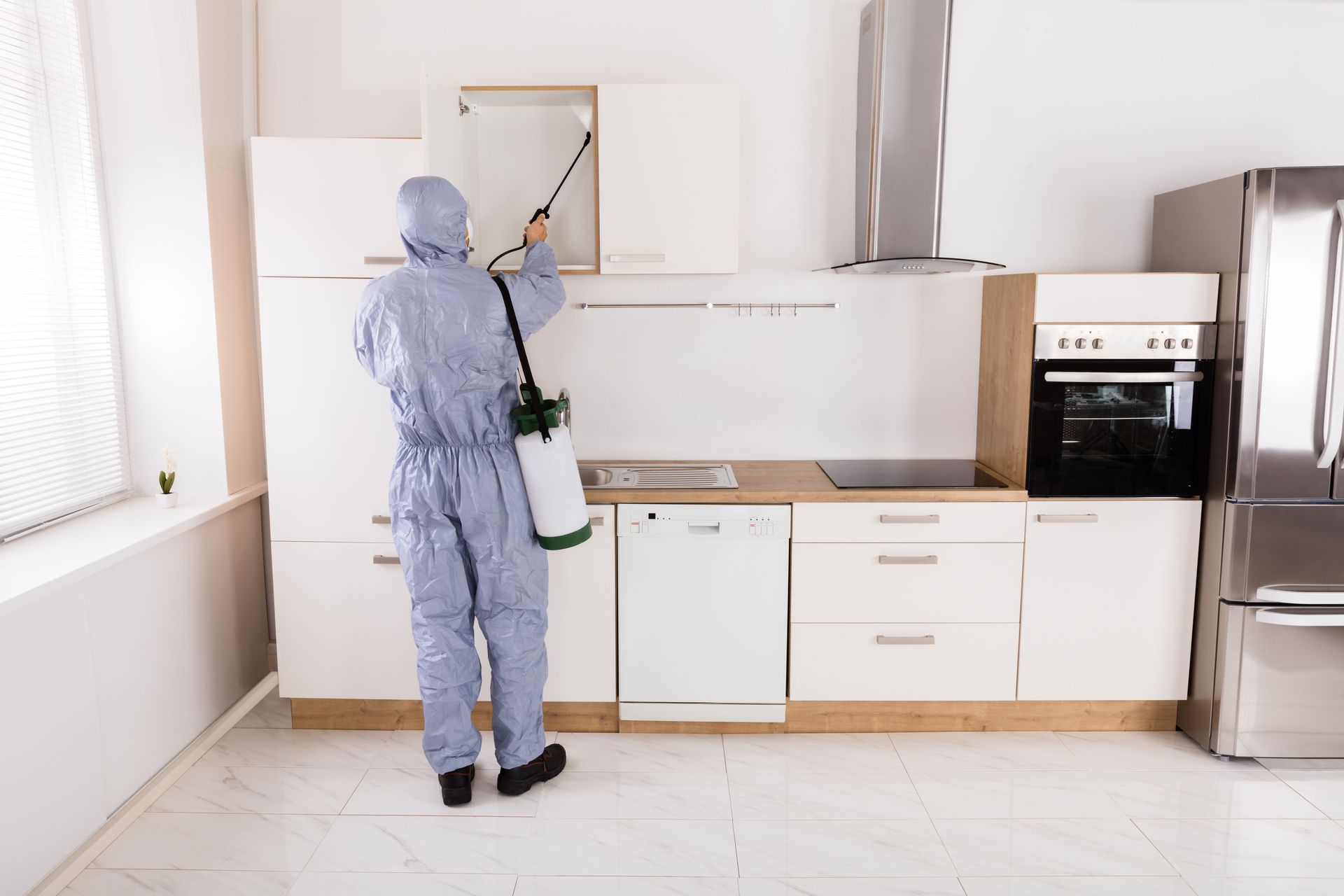 termite inspection company