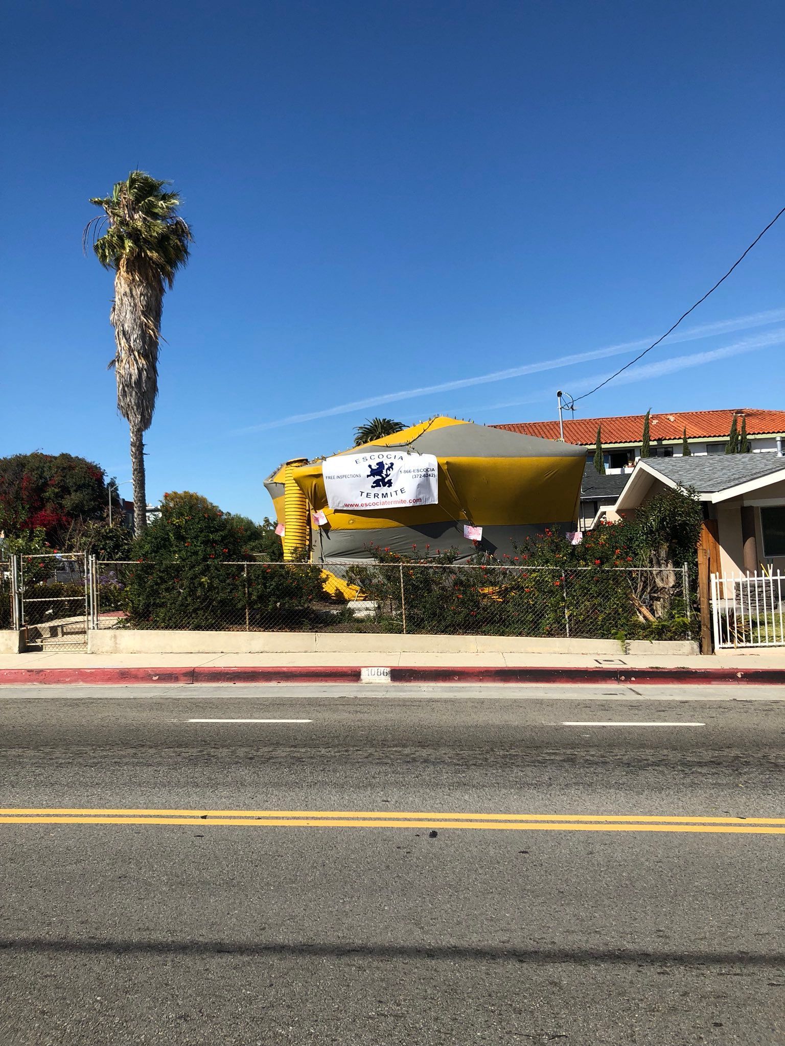 A large yellow building is sitting on the side of the road next to a palm tree.