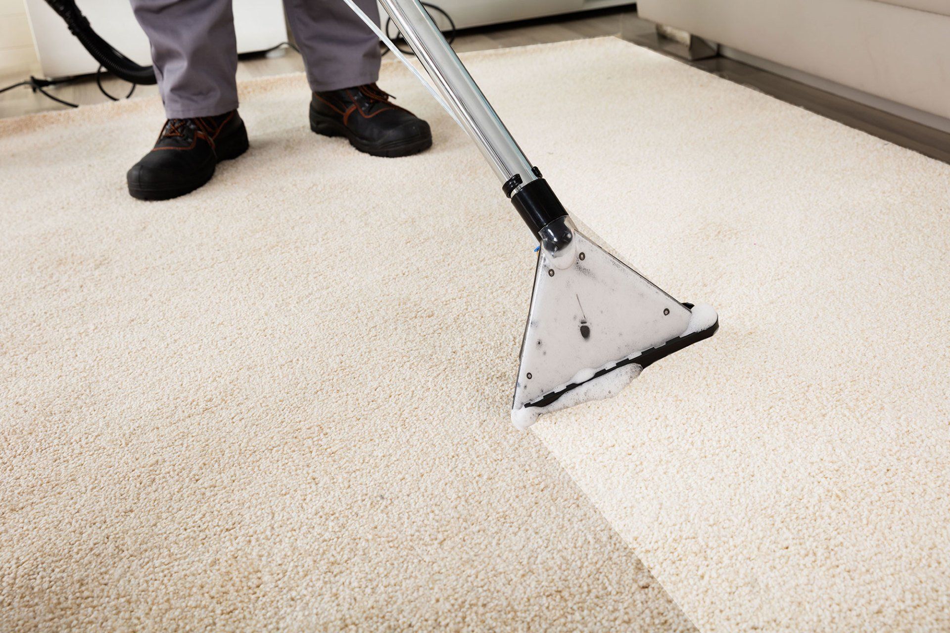 Choosing the right carpet cleaner in Fort wayne