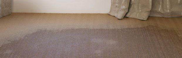 water damage services | Fort Wayne, IN | Carpet Masters