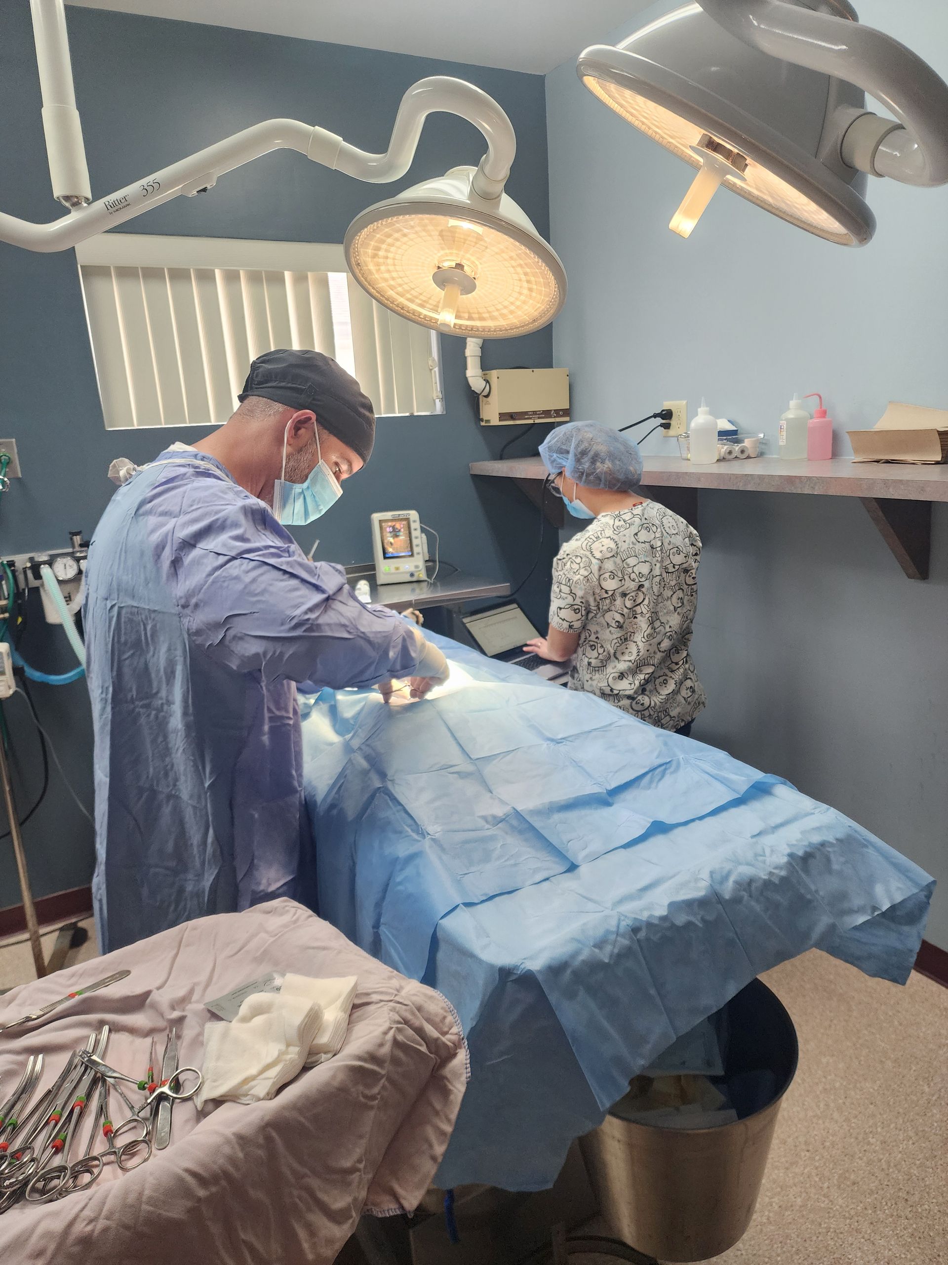 A man and a woman are operating on a dog in an operating room.