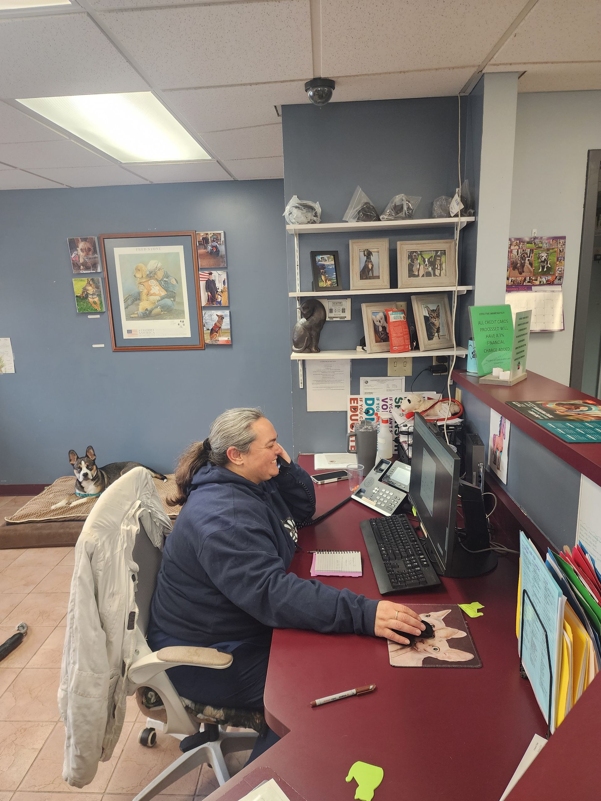 A woman is sitting at a desk in front of a computer.