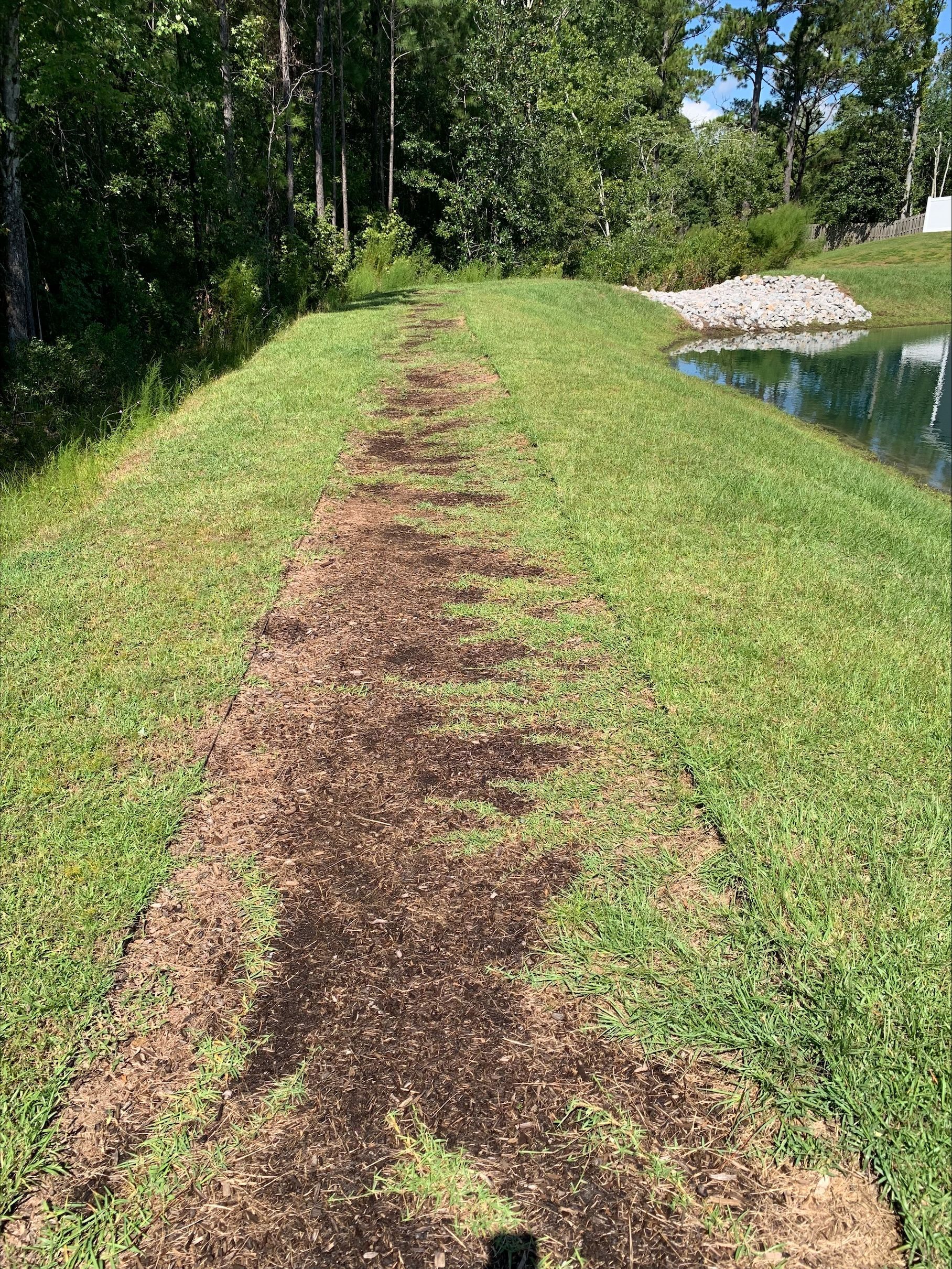A grass path with exposed dirt leads towards a pond, surrounded by green grass and trees.