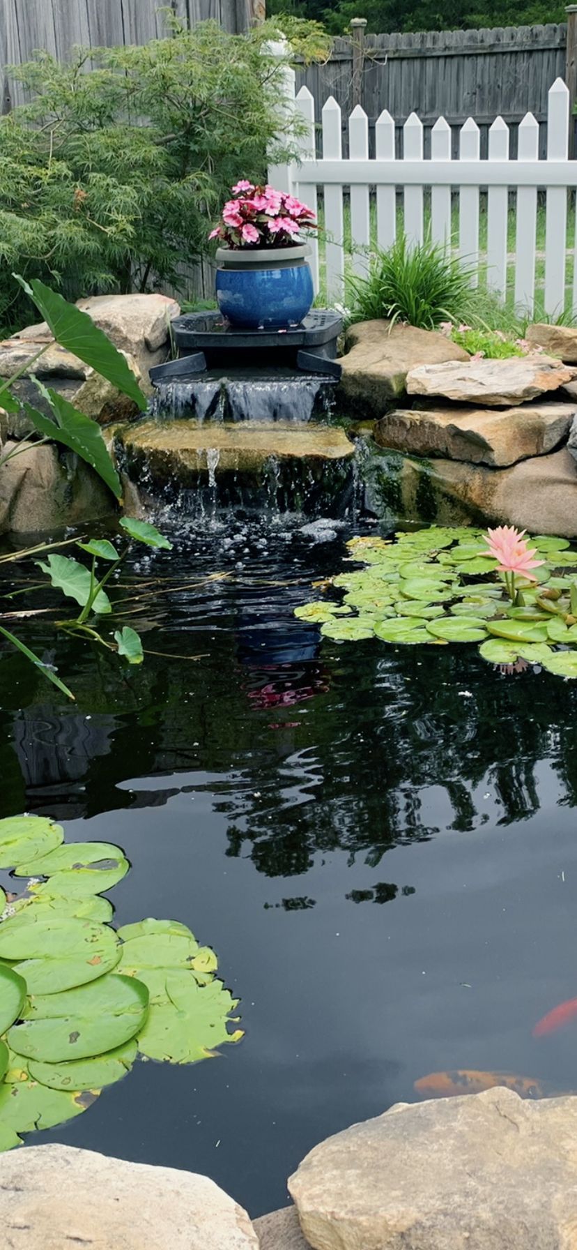 Water garden with waterfall, blue pot with pink flowers, lily pads, and a white picket fence.
