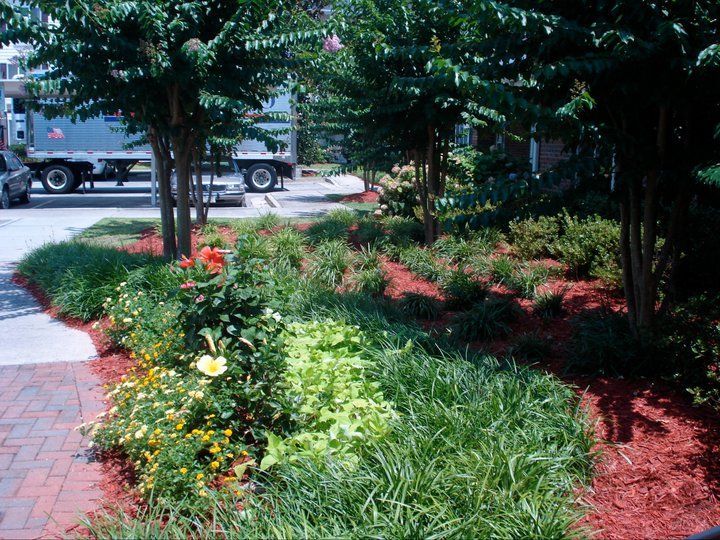 Landscaped garden bed with flowers and greenery near a brick walkway and trees. A truck is visible in the background.