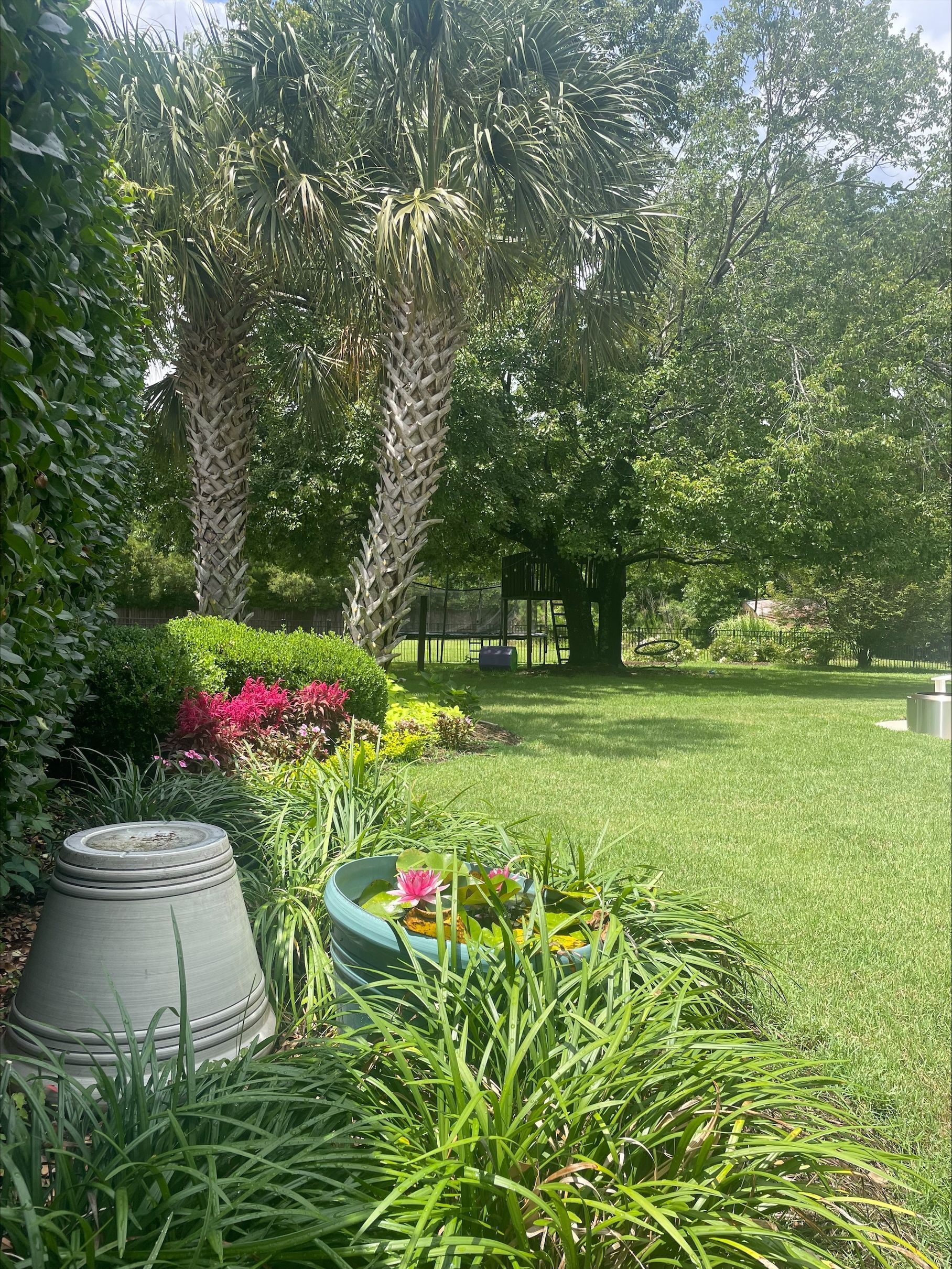 Lush green backyard with flower beds, palm trees, and various potted plants on a sunny day.