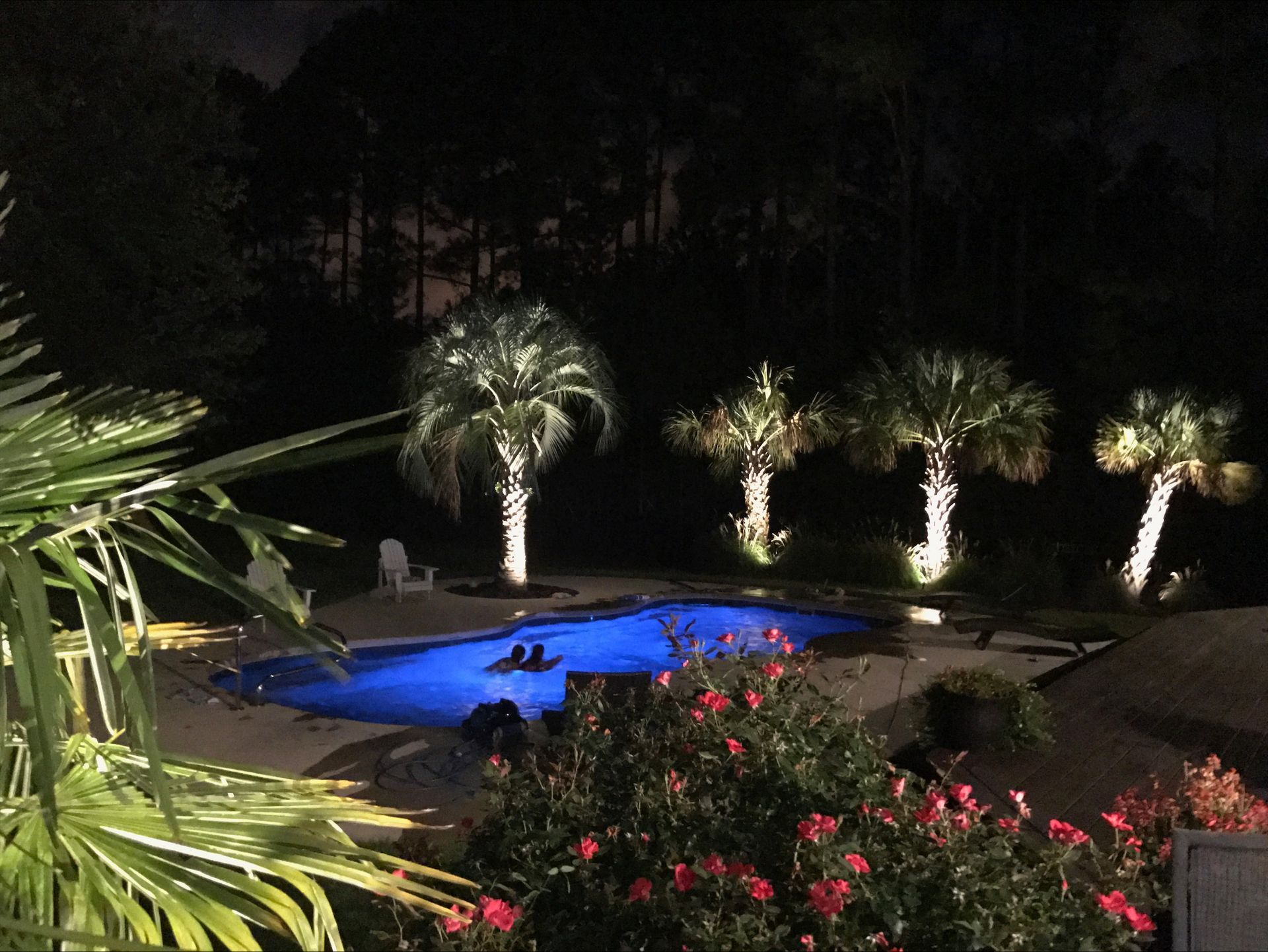 Nighttime view of a blue-lit pool with swimmers, four lit palm trees, and foliage.
