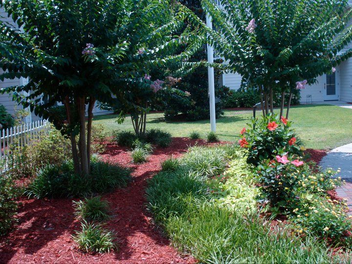 Landscaped garden bed with red mulch, green plants, and two trees.