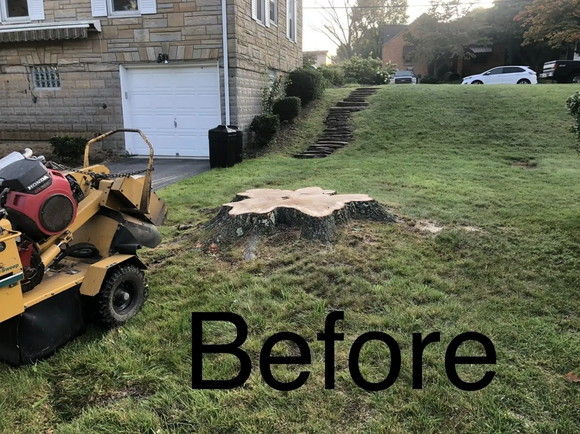 A tree stump in a yard, with a stump grinder nearby. 