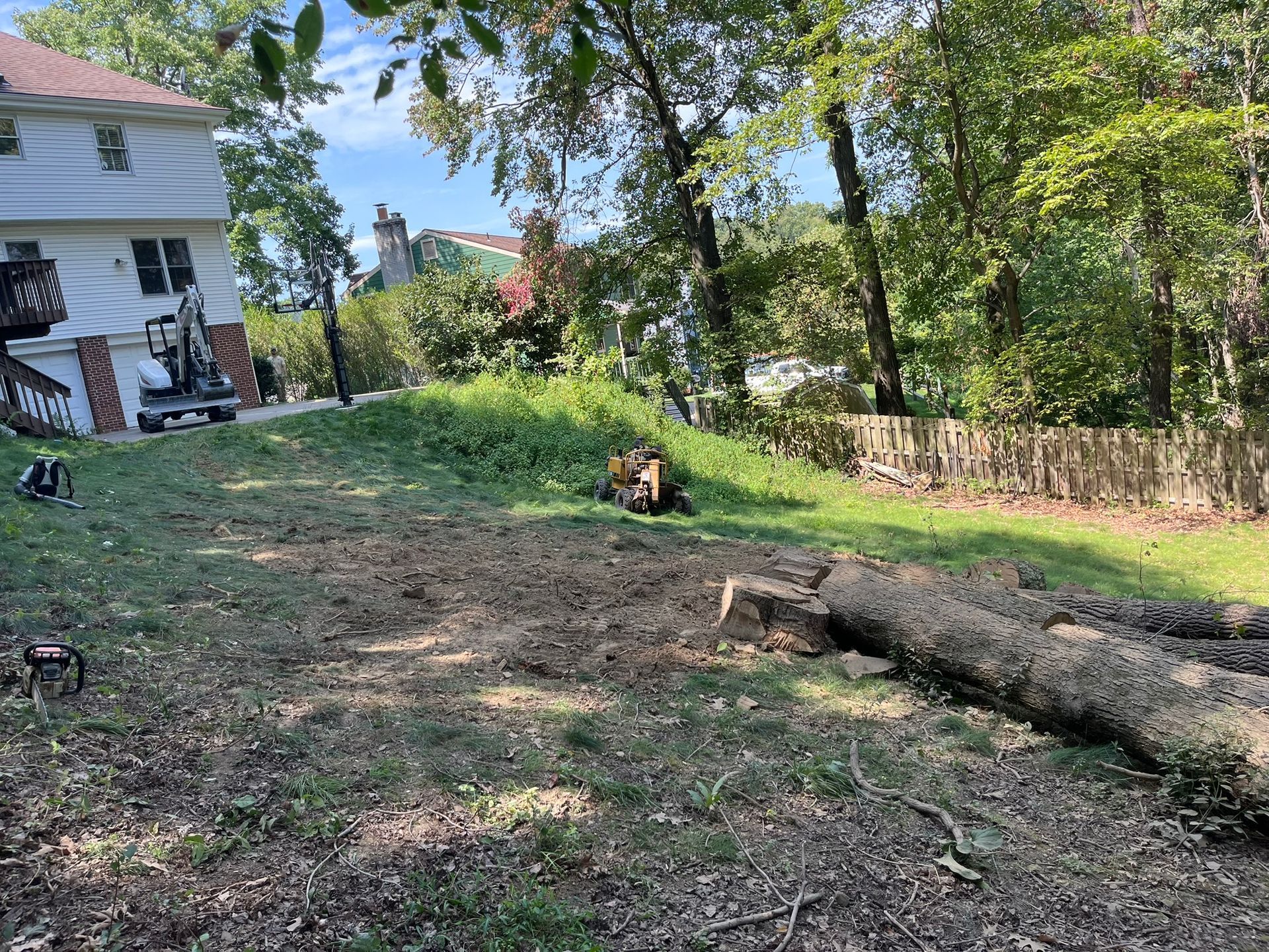 A backyard with a felled tree, tree stumps, and an excavator near a two-story house.