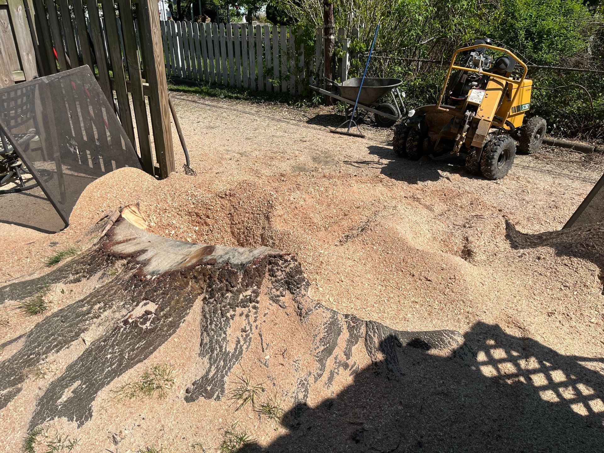 A tree stump surrounded by wood chips with a stump grinder in a backyard setting.