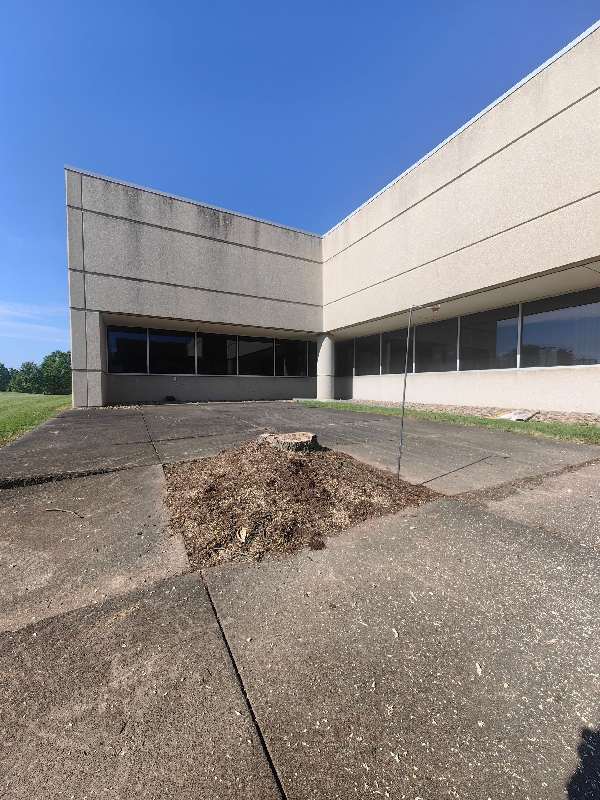 Concrete building corner with dark windows.  Concrete patio with pile of mulch on a sunny day.