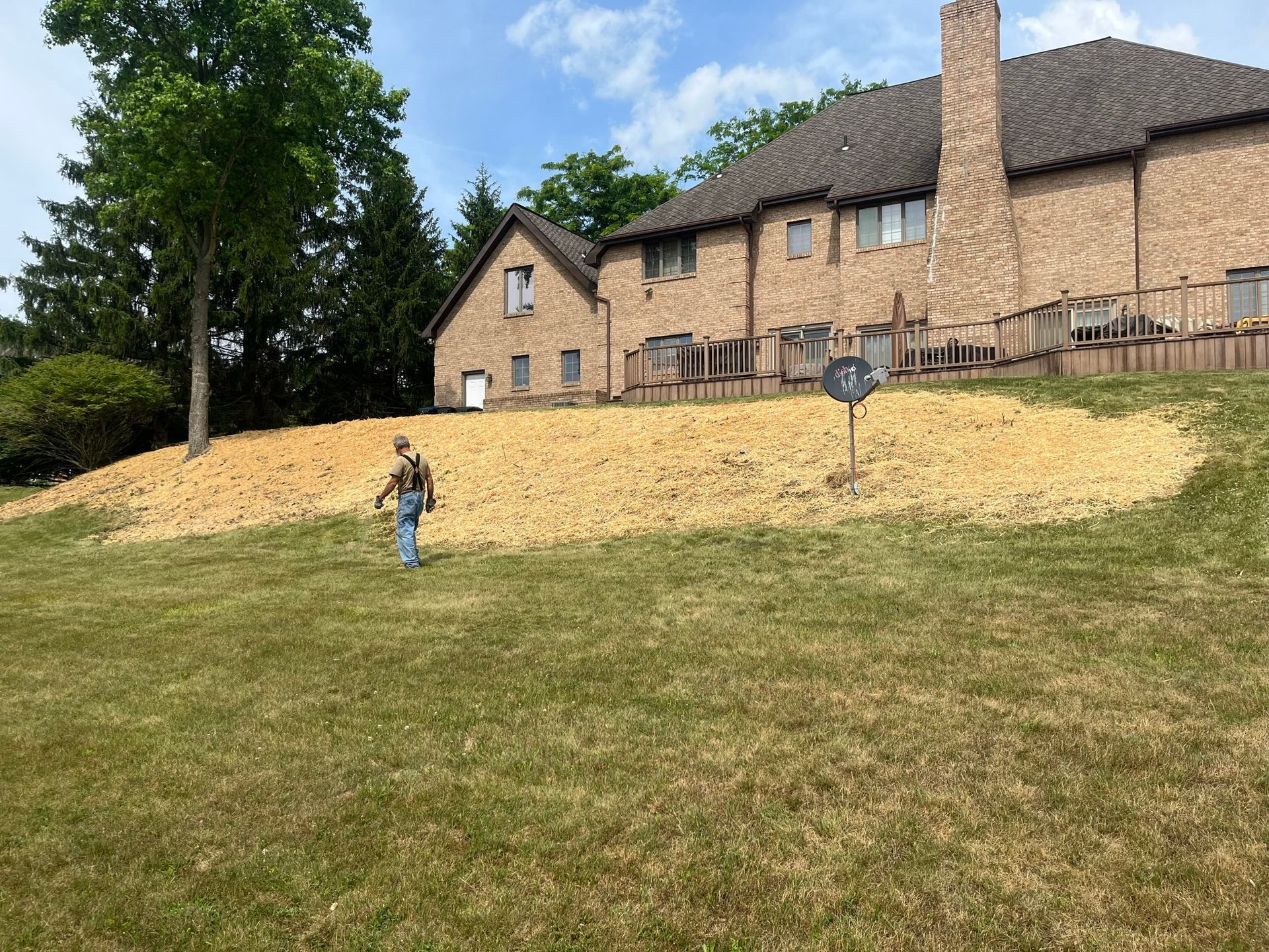 Person walking on lawn with a slope covered in mulch towards a large brick house on a sunny day.