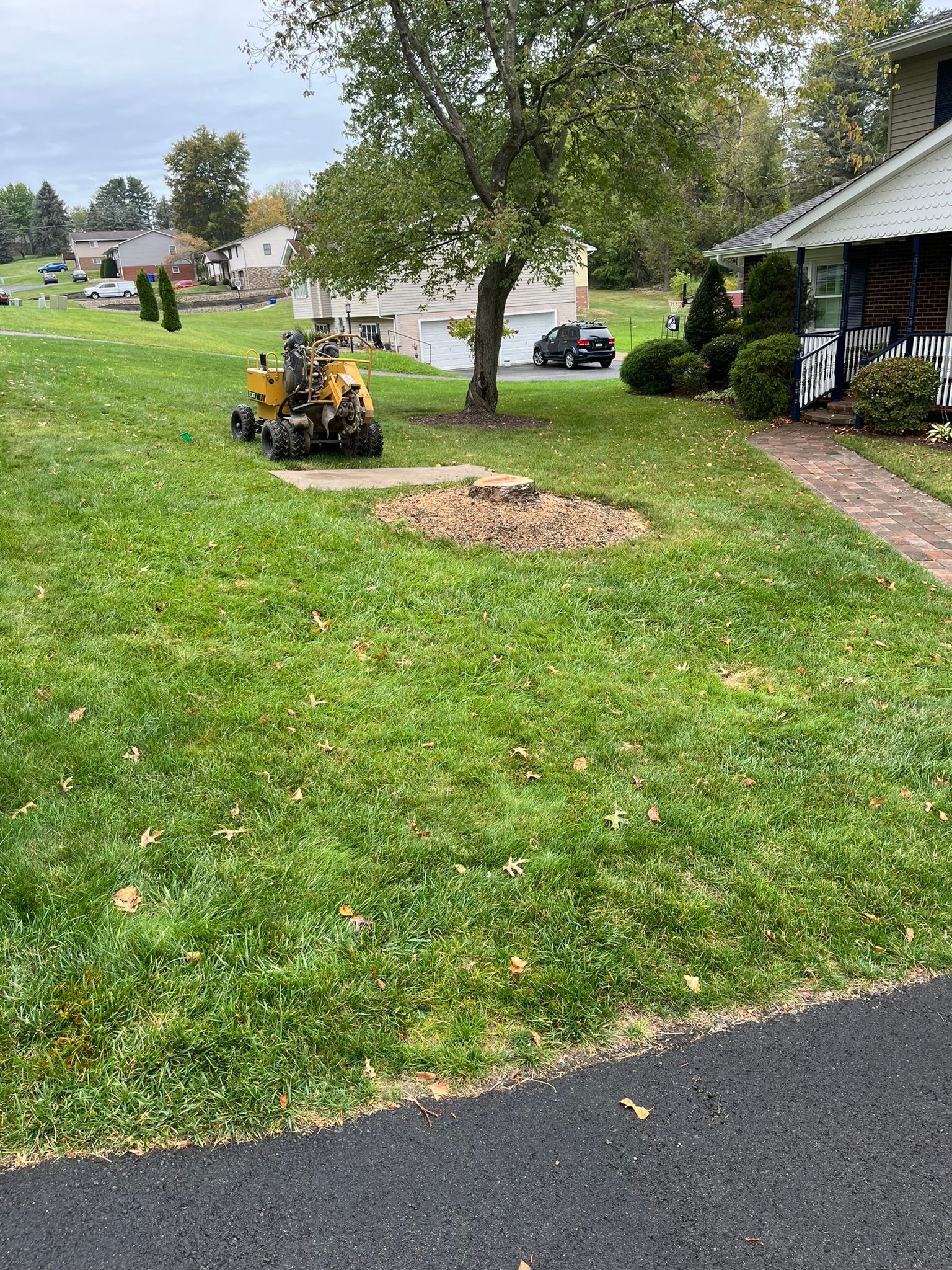 A stump grinder grinds a tree stump on a green lawn near a house.