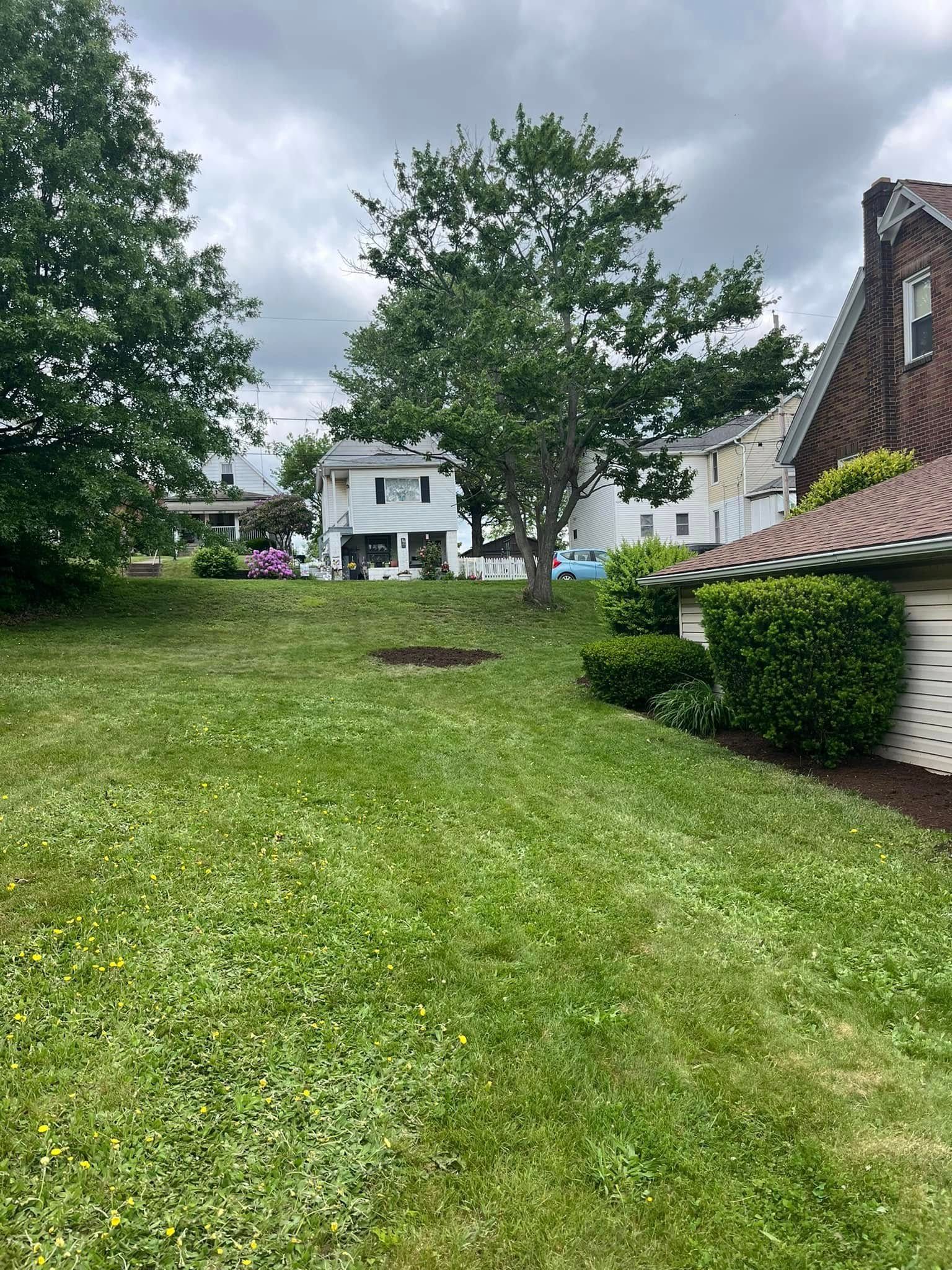 Green grassy yard with trees, bushes, and houses in the background under a cloudy sky.