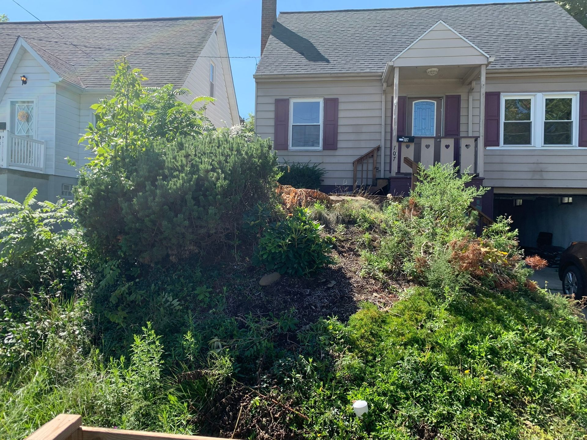 A two-story house on a hillside with overgrown green bushes in front. Blue sky.
