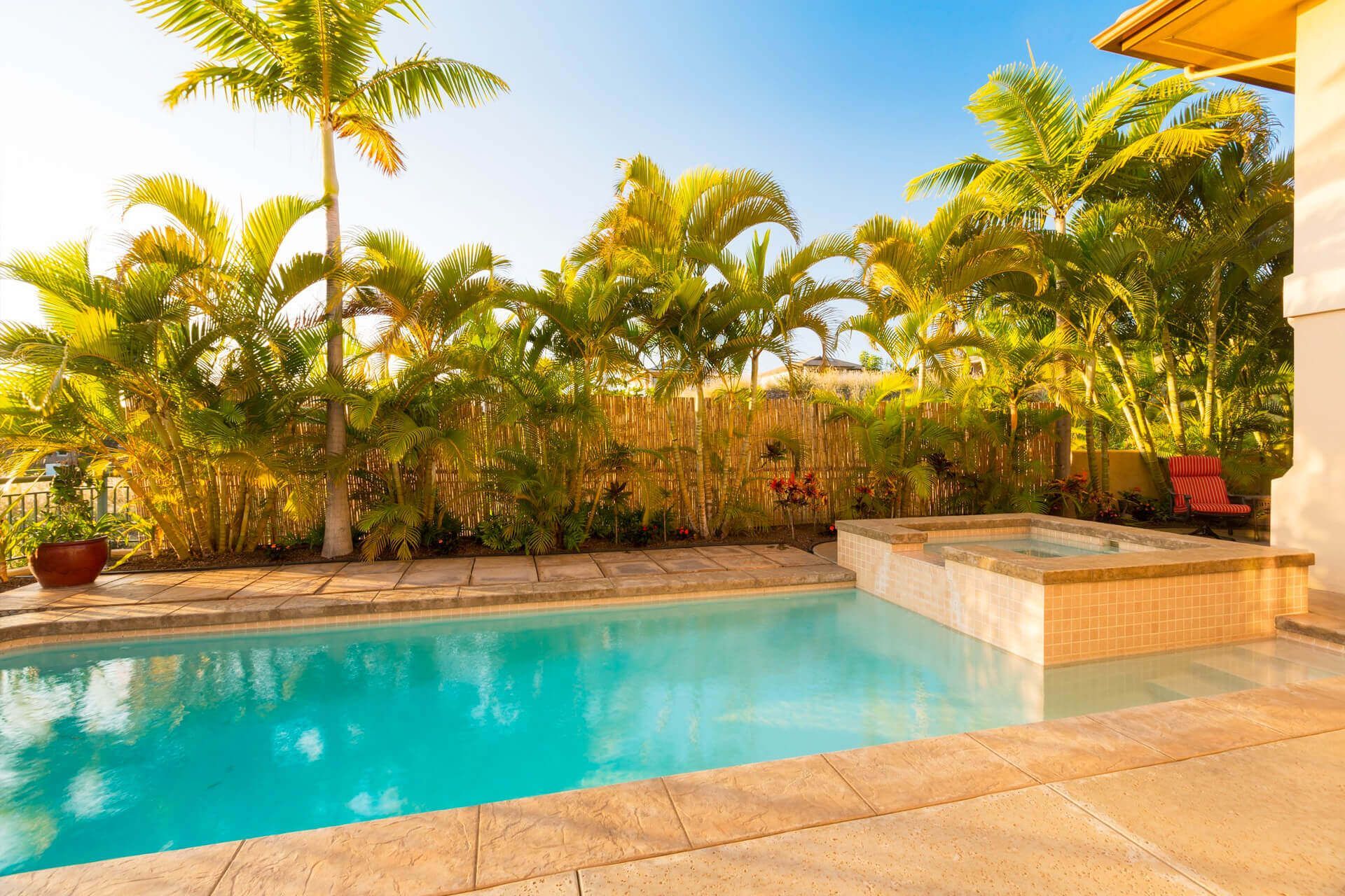 Pool and spa surrounded by palm trees under a bright blue sky.