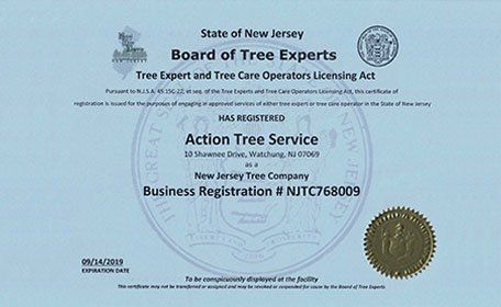 Board of Tree Experts