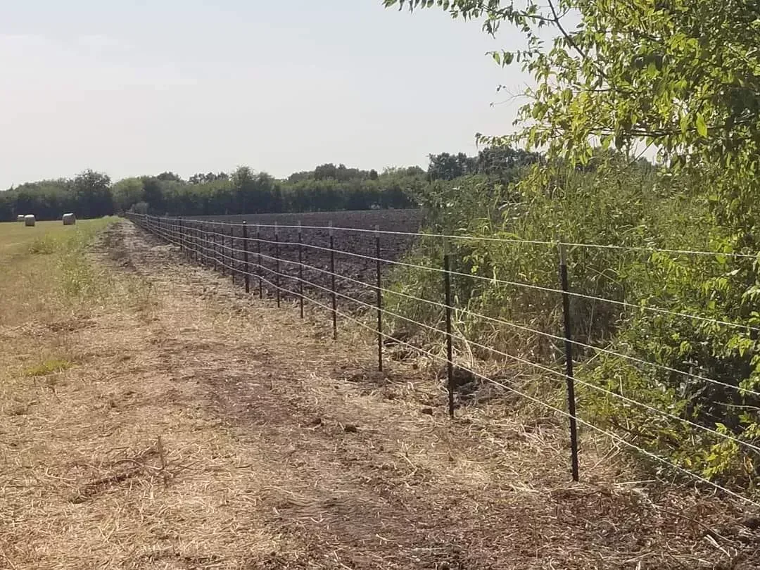 Rural dirt road beside a black wire fence and dry grass, with trees lining the horizon.