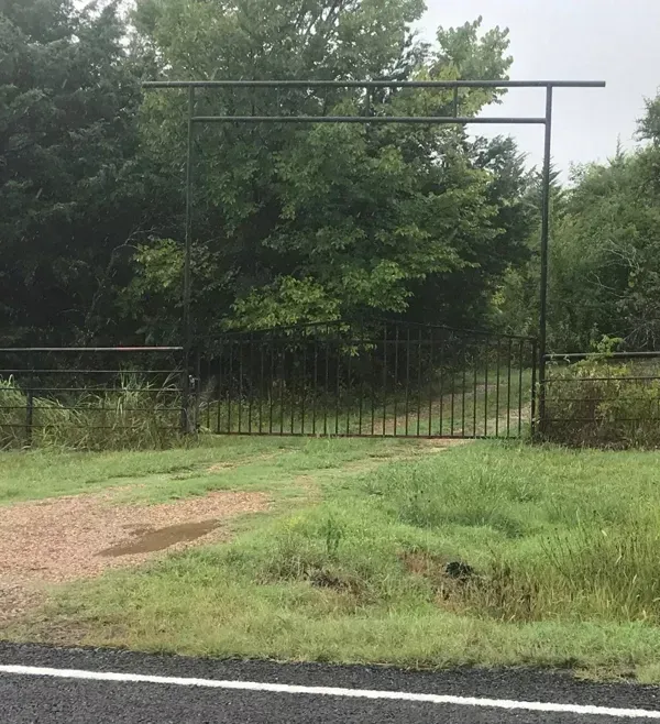 Overgrown gated entrance with black metal fence and trees behind it
