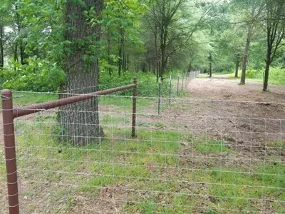 Wire fence along a wooded dirt path in a green park.