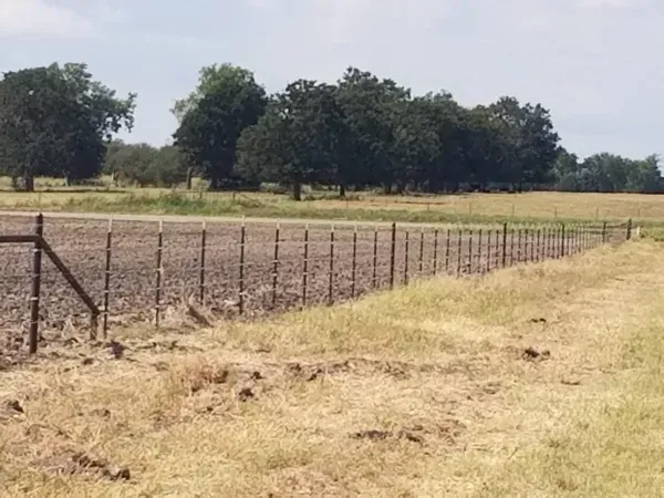 Rural pasture with a wire fence and dry grass under a cloudy sky, trees in the distance