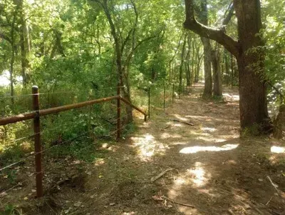 Wooded trail with a dirt path, metal fence, and sunlight filtering through green trees
