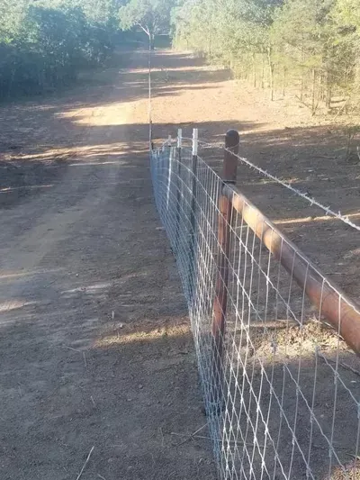 Dirt road beside a wire fence in a wooded rural area under bright sunlight.