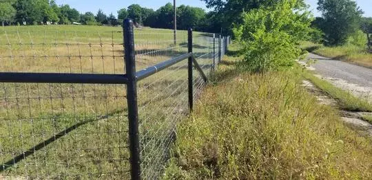 Black fence along a grassy roadside beside a paved road under bright sunlight