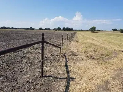 Dry farm field beside a grassy path and fence under a clear blue sky