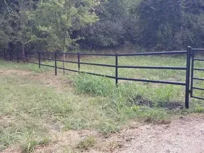 Black metal fence along a grassy path beside trees and a field