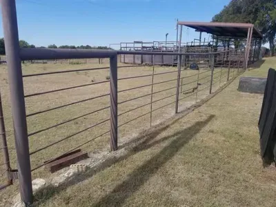 Rural livestock pen with metal fencing, gate, and grassy dirt yard under a clear sky