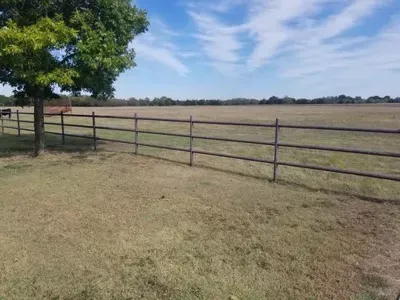 Open grassy field with a wooden fence and a large tree under a blue sky