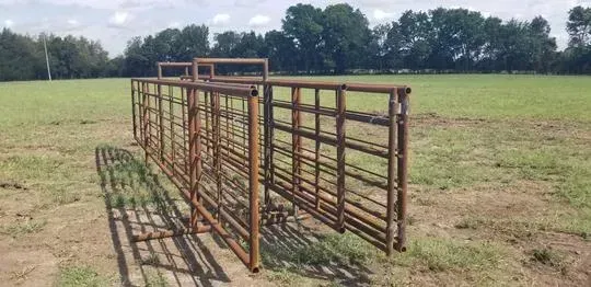 Rusty metal livestock chute on a grassy field with trees in the background