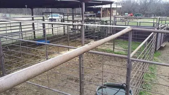 Empty livestock pens with metal rail fencing and a covered barn area.