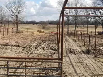 Rural fenced livestock pen with muddy ground and metal gates under a cloudy sky