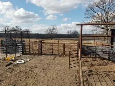 Open cattle gates and pen in a muddy field under a cloudy sky