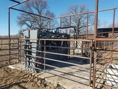 Rural livestock pen with metal gates and a black cattle chute under a clear blue sky