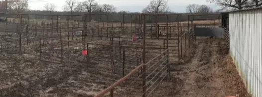 Muddy vineyard rows beside a white building under cloudy sky, with a red marker in the field